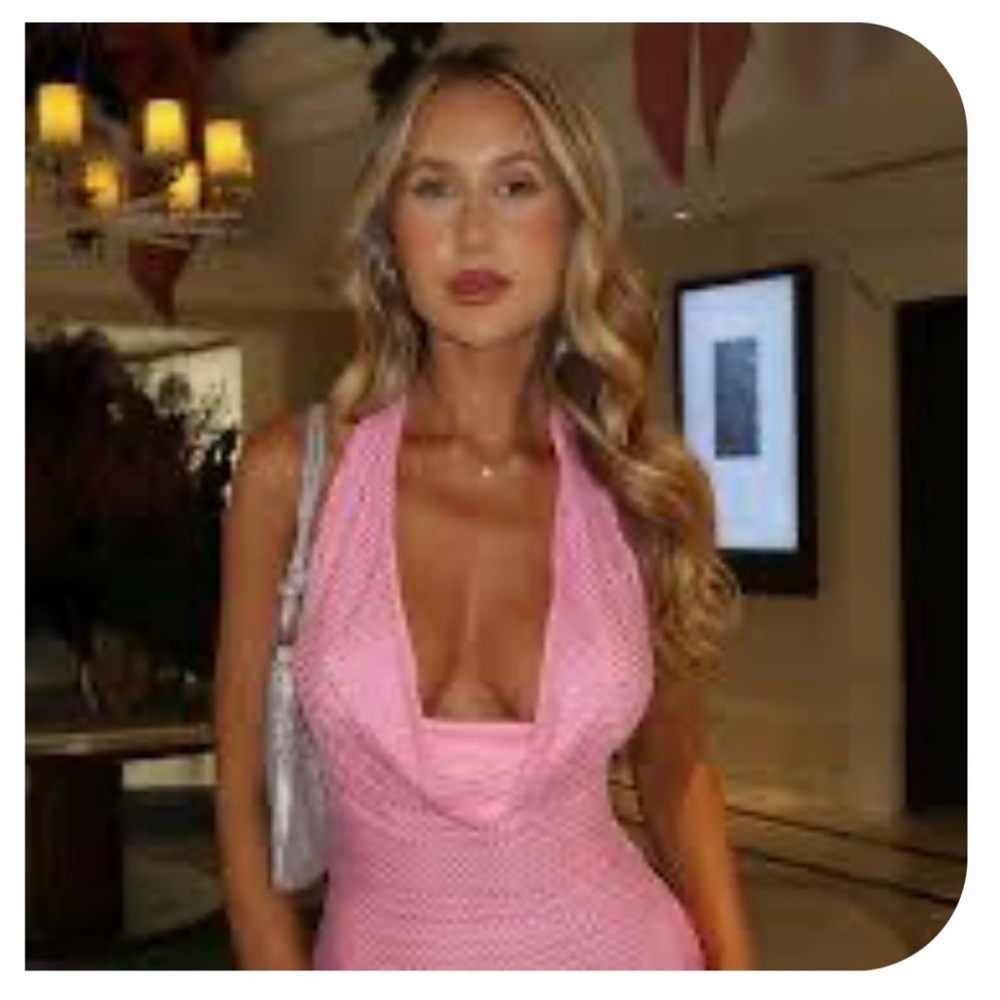 NWT That’s So Fetch Melanie Dress - Pink